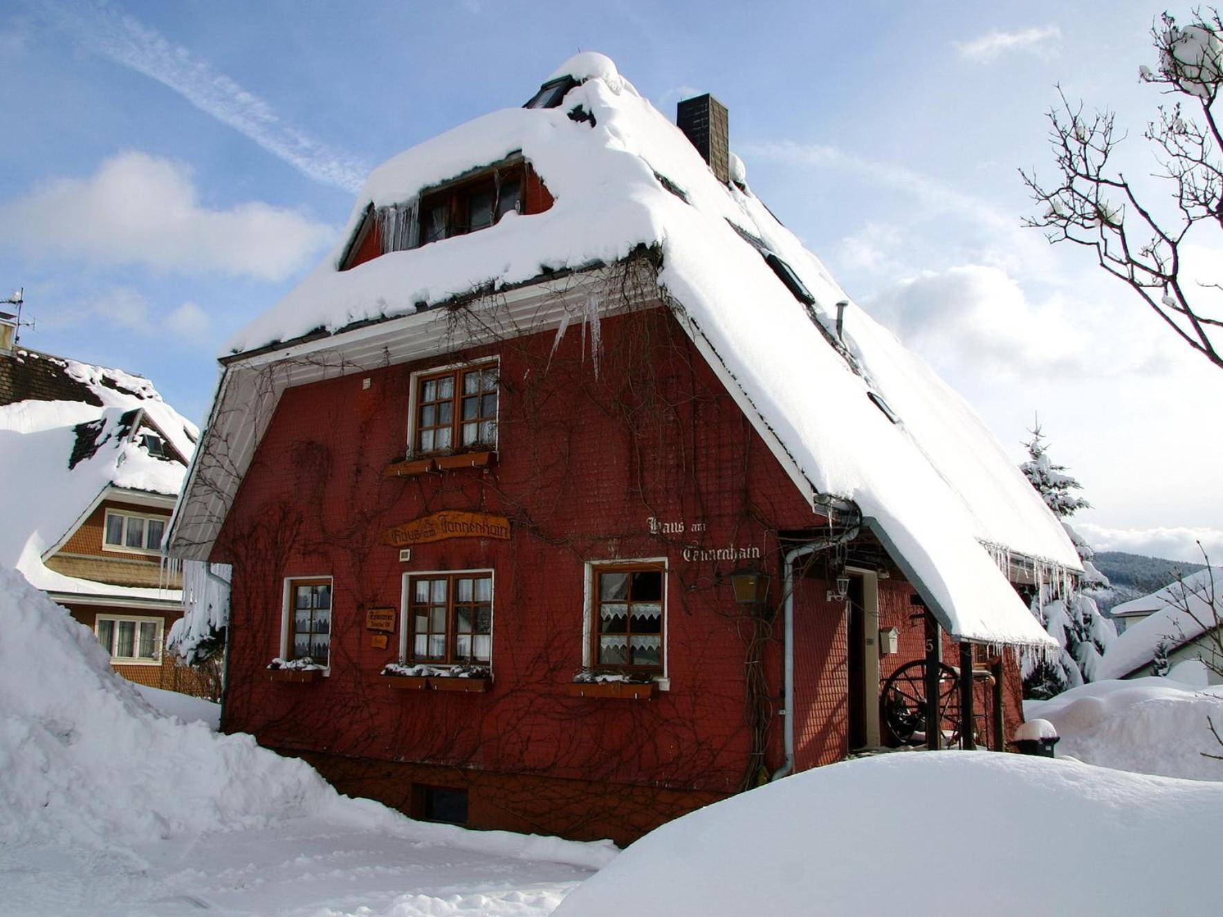 Haus Am Tannenhain تيتيسي نيوستادت المظهر الخارجي الصورة
